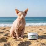 Dog sunscreen jar beside hairless cat on beach sand