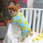 Light blue duck-print four-legged pet outfit with long sleeves and paw openings