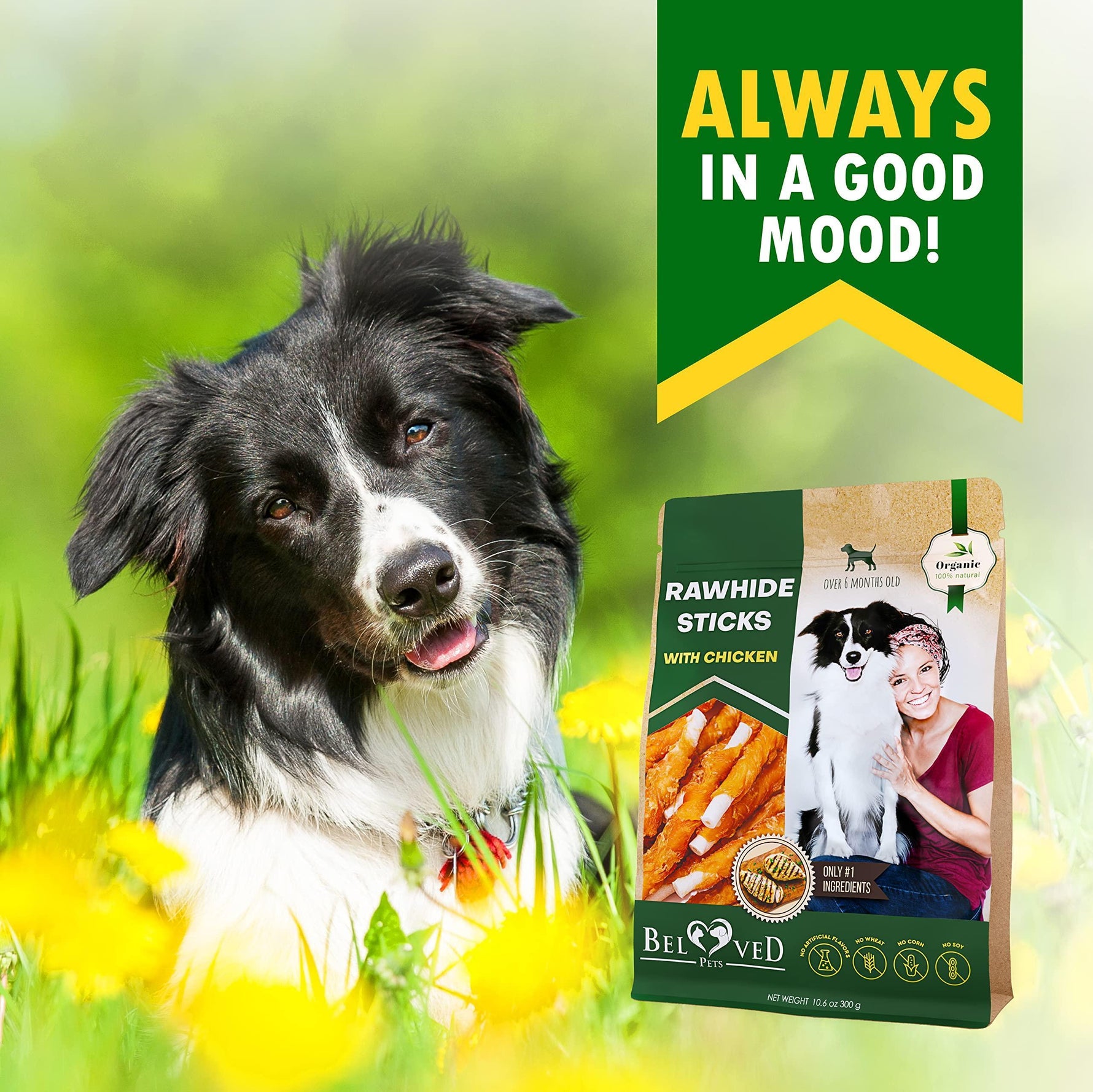 Dog with rawhide sticks with chicken pouch, showing treat packaging and dog face
