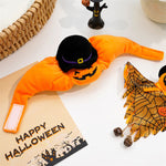 Orange pumpkin pet costume pants with black witch hat, Halloween set accessories on table