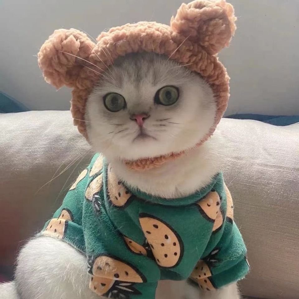 Brown bear-eared plush pet hood with cat face opening and fuzzy bear ears