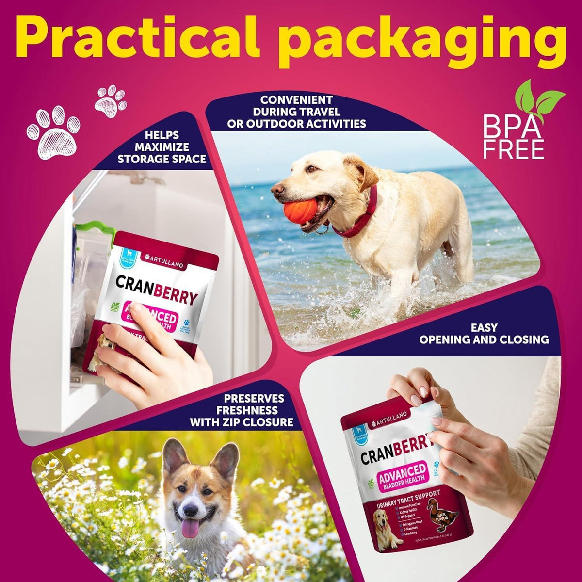 Travel-friendly resealable pouch infographic with dog outdoors and packet close-ups.