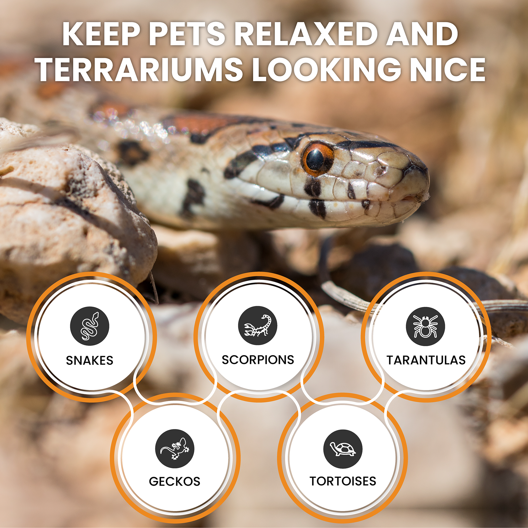 Coconut fiber substrate blend for terrariums with animal category icons