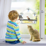 Transparent acrylic wall-mounted bird feeder with black feeding tray and suction cups