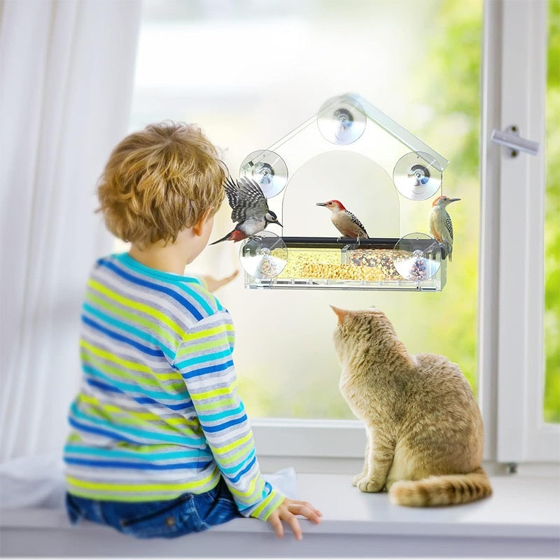 Transparent acrylic wall-mounted bird feeder with black feeding tray and suction cups