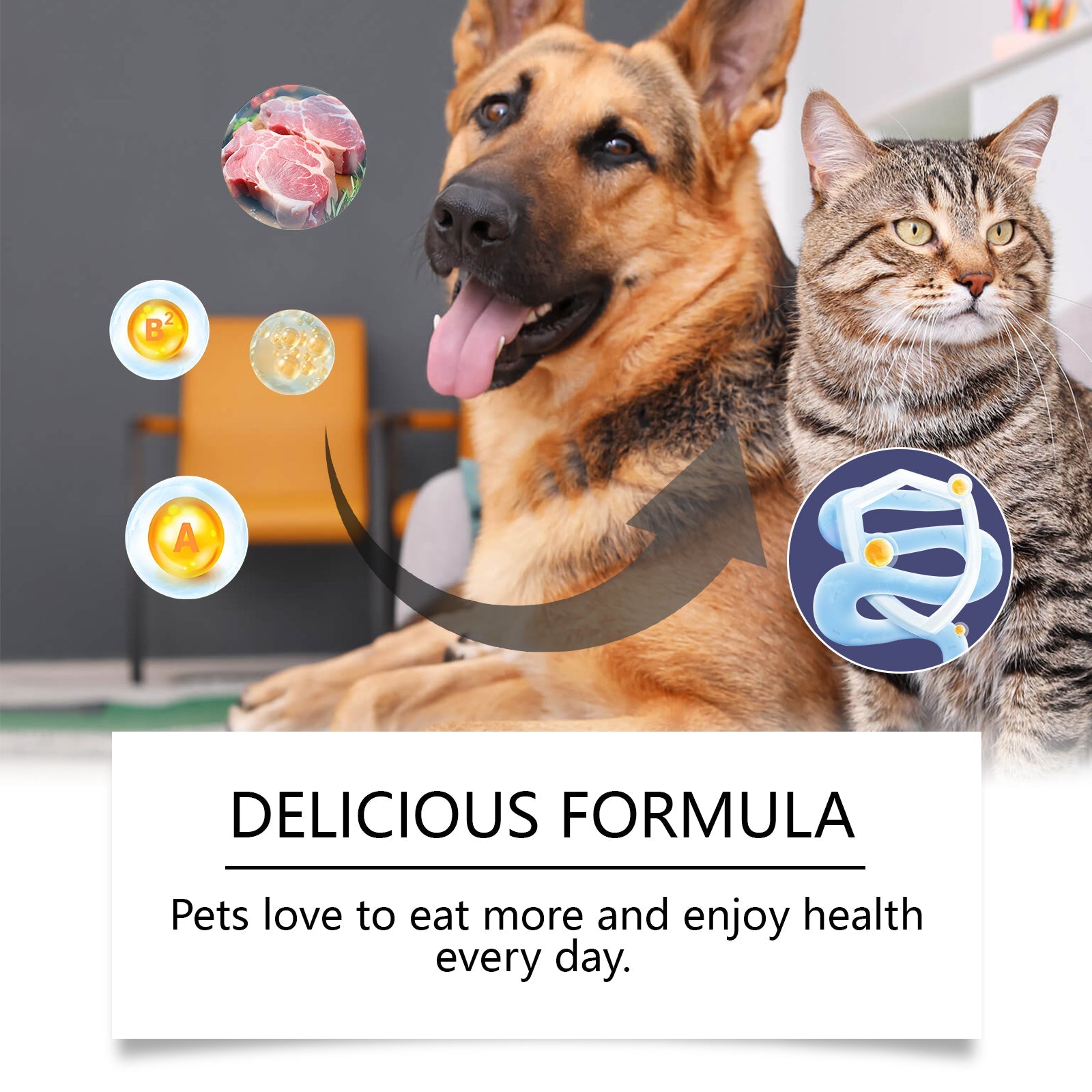 Probiotic supplement tablets for pets shown on dog and cat with icon badge