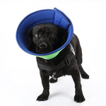 Soft recovery e-collar for dogs and cats, blue mesh with green trim around neck