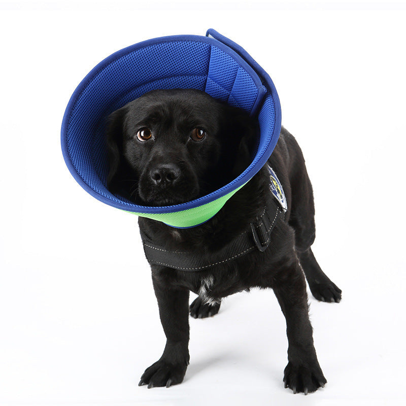 Soft recovery e-collar for dogs and cats, blue mesh with green trim around neck