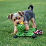 Grünes Mop-Plüsch-Ente-Spielzeug mit gelbem Schnabel und großen Augen, Hund trägt es im Gras