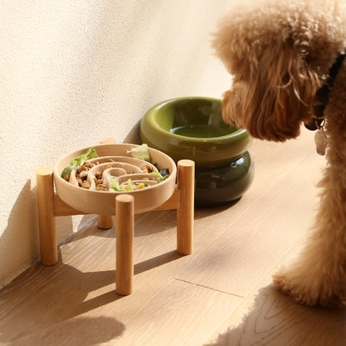 Green wave slow feeder dog bowl on a wood stand