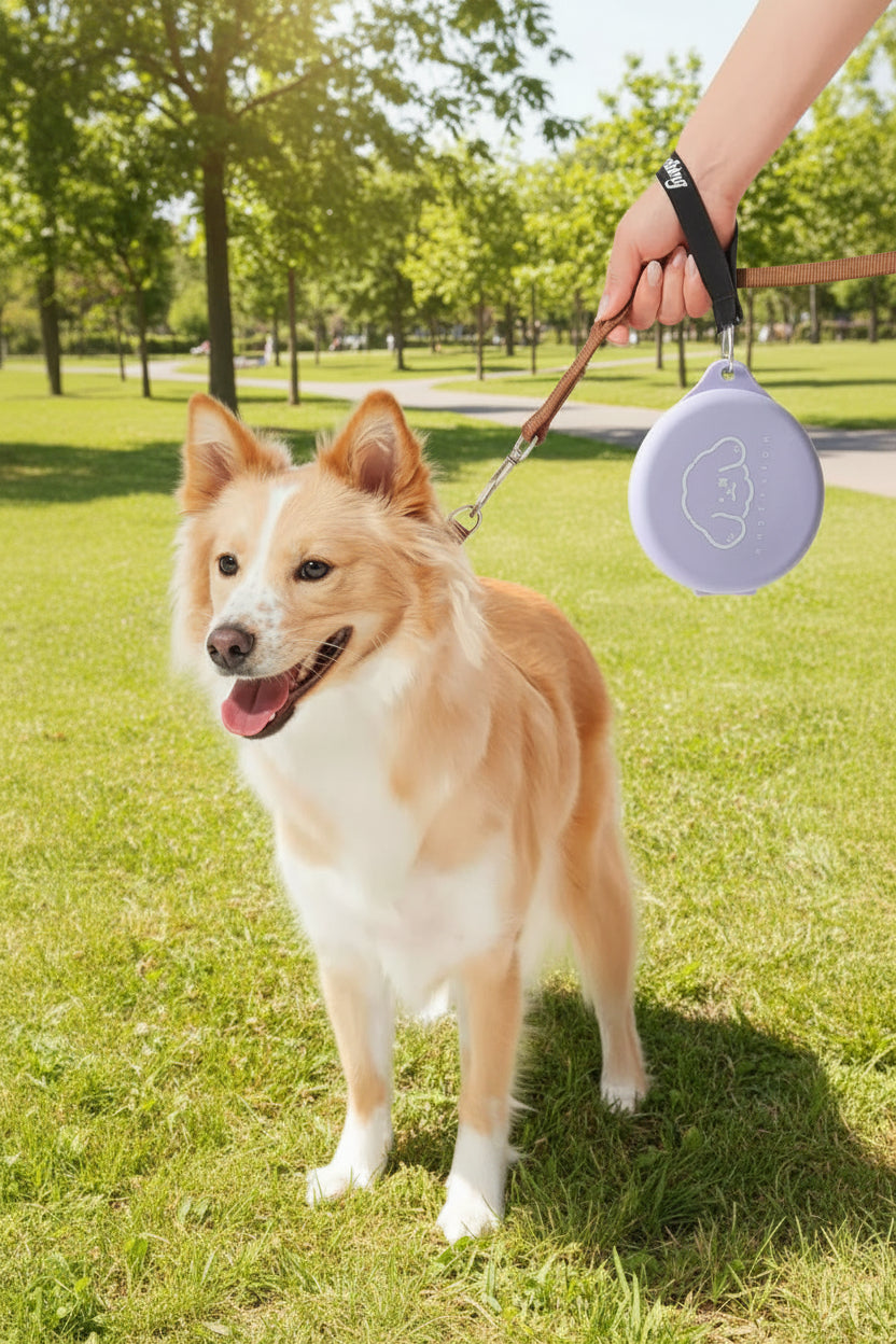 Foldable pet travel bowl in light purple with carabiner clip
