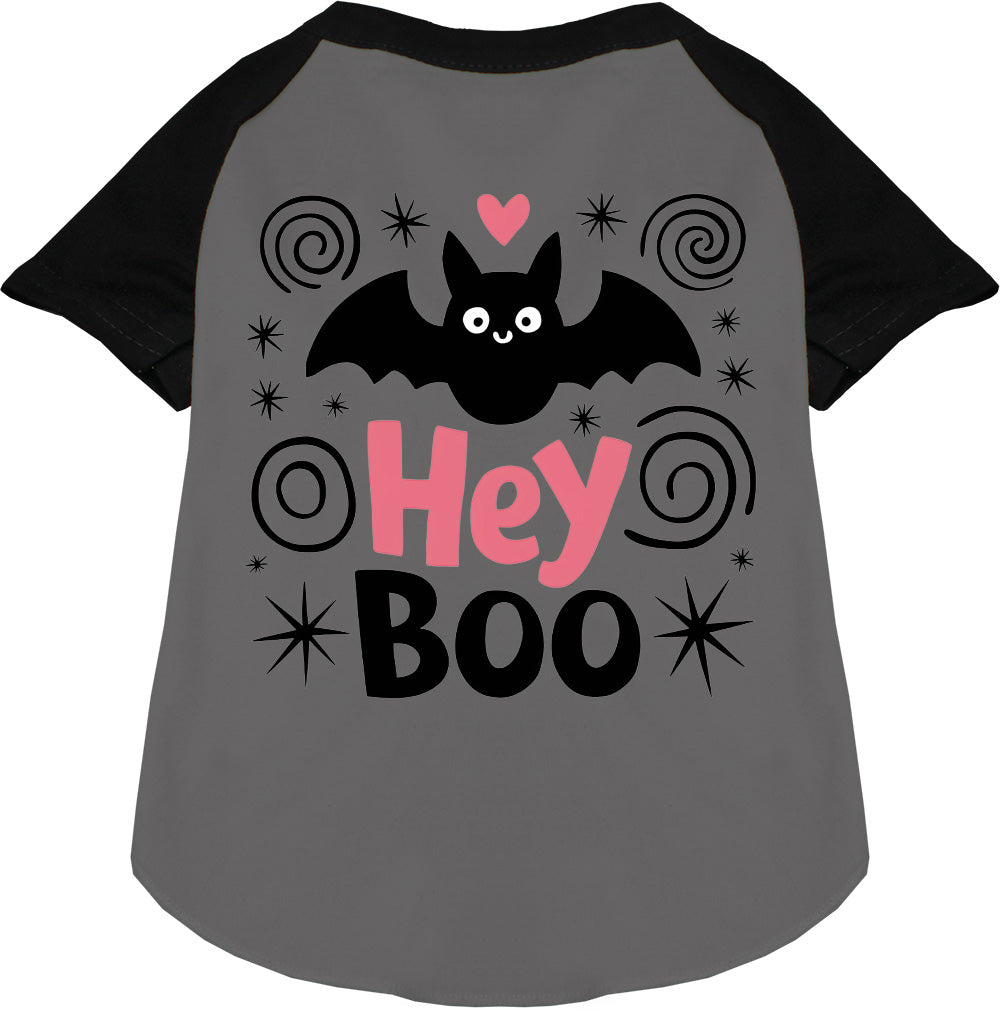 Pet raglan shirt, grey body with black sleeves, “Hey Boo” bat cat graphic