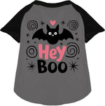 Pet raglan shirt, grey body with black sleeves, “Hey Boo” bat cat graphic