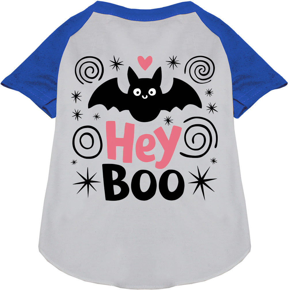 Pet raglan shirt, white body with royal blue sleeves, “Hey Boo” cat graphic