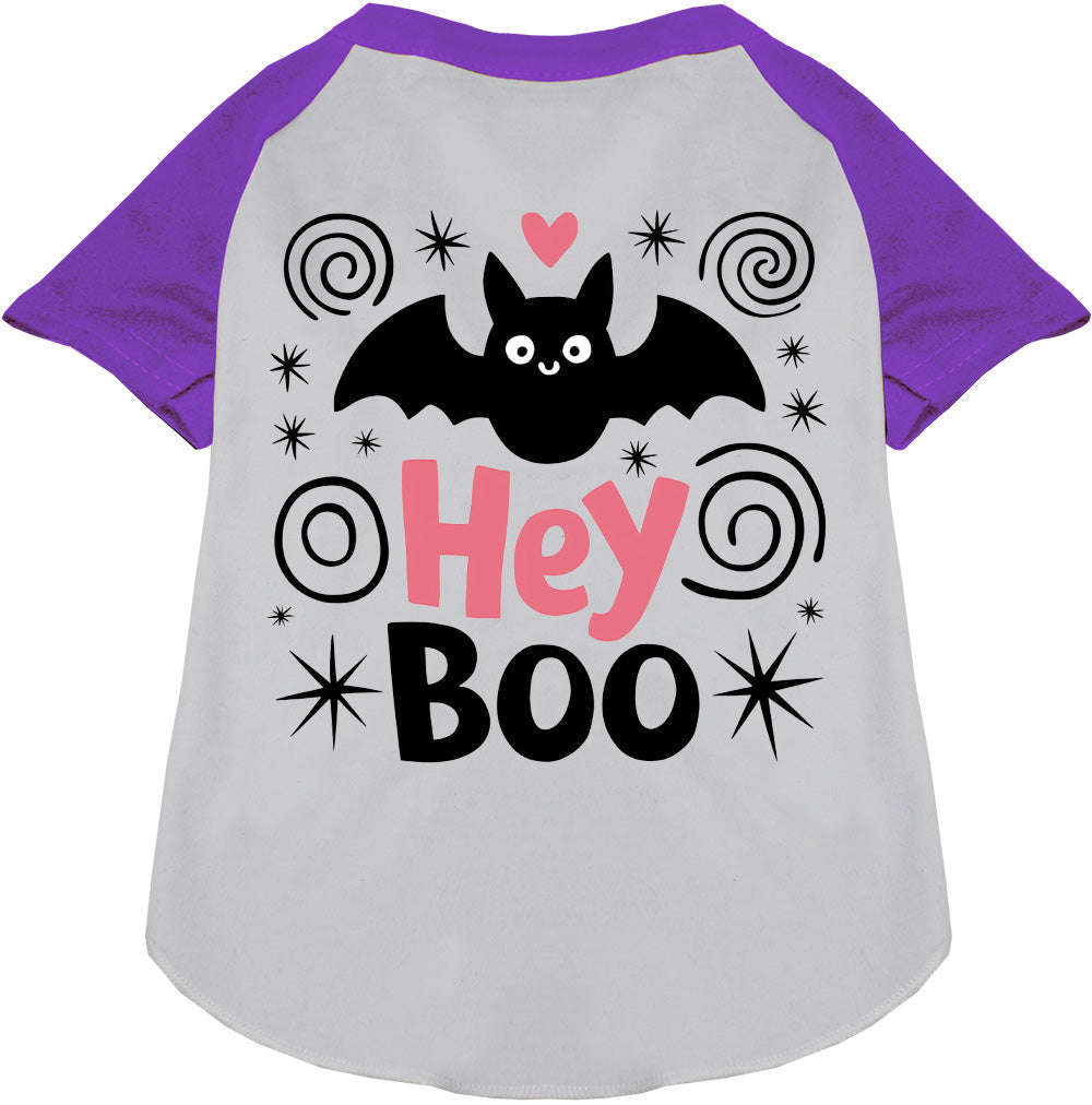 Pet raglan shirt, white body with purple sleeves, “Hey Boo” bat cat graphic