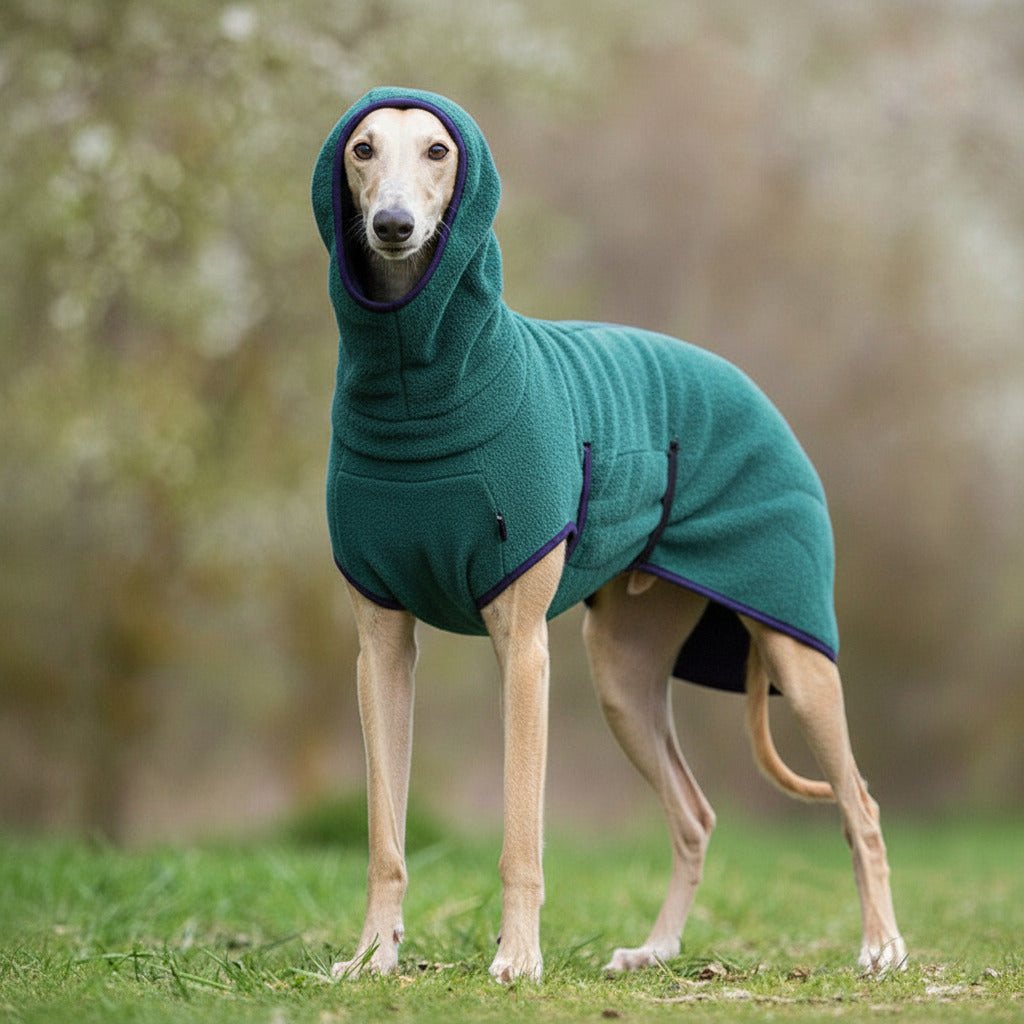 Pet polar fleece hoodie sweater in teal green, with hood and front pocket detail
