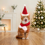 Cat wearing a red Santa hat with white trim and a red-and-white scarf set