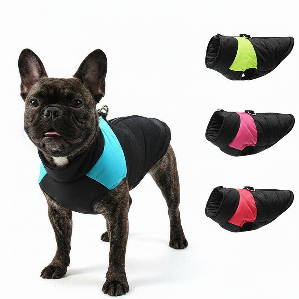 Dog warm cotton vest in blue with black padded body and front opening