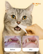 Cat being wiped with a dental wipe; inset shows before and after gums/teeth