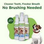 Salmon oral care gel bottles, three-pack with white sprayer caps for dogs and cats