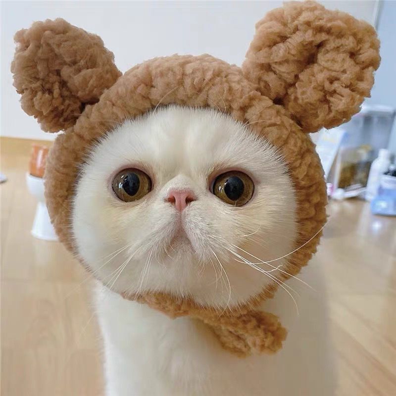 Brown bear-eared plush pet hood, front view with whisker opening and big eyes