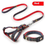 Red dog leash and matching collar set with metal clasp and stitched fabric
