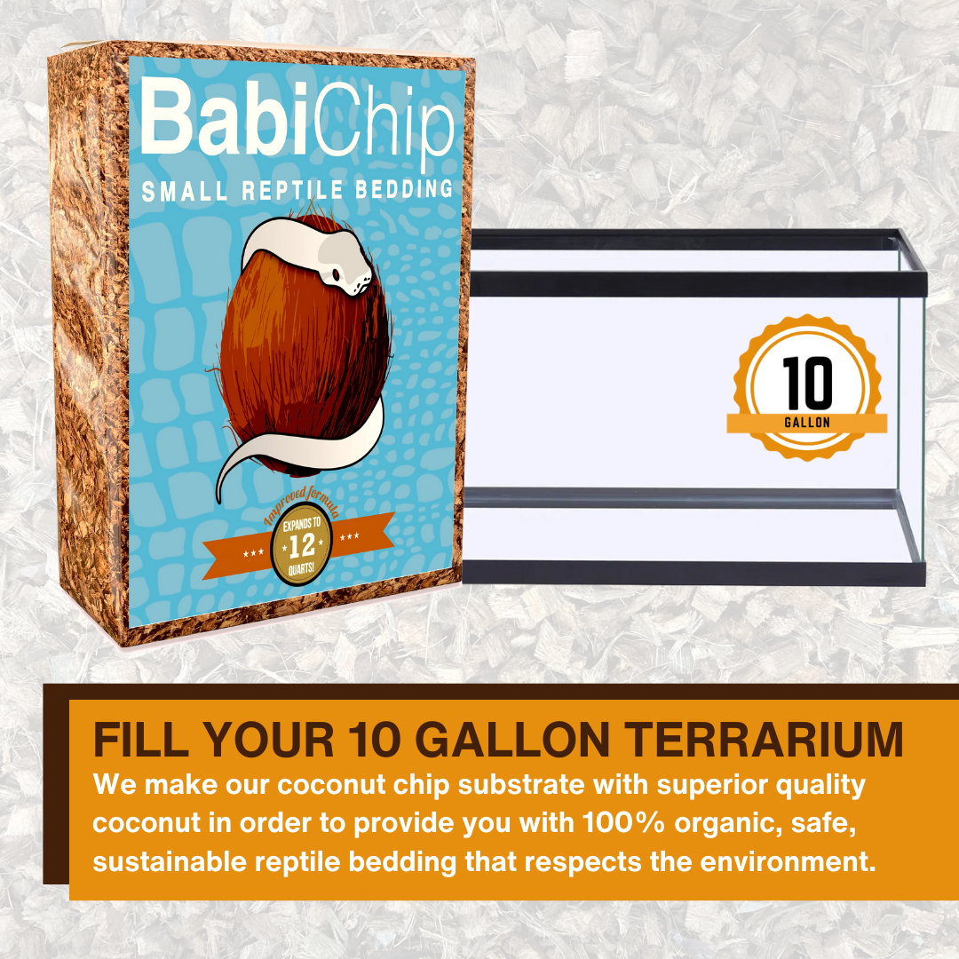 Small reptile bedding coconut chip substrate box beside terrarium size label