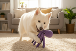 Six-claw fish plush dog toy, purple body with dark-purple tentacles; dog plays with it