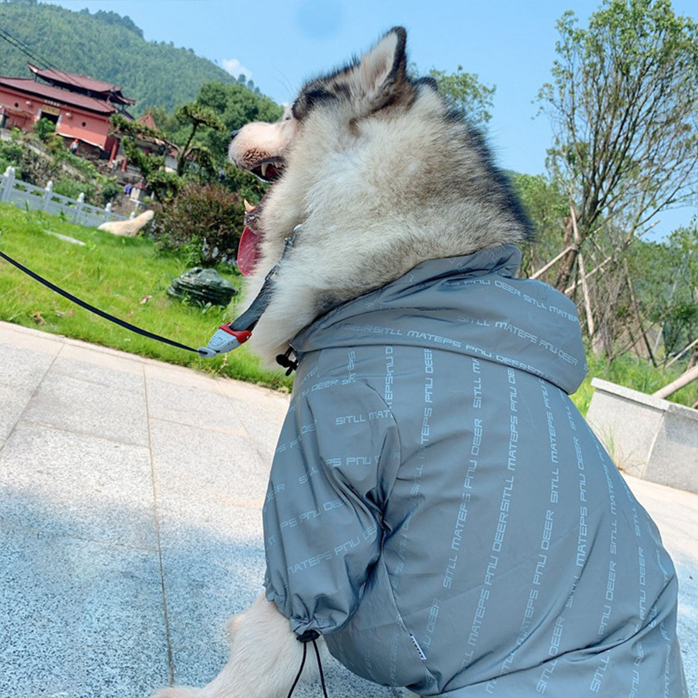 Back view reflective-letter windbreaker for pet, light gray-blue hood, drawstring hem