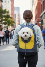 Pet travel backpack with yellow mesh front, worn with a small white dog inside