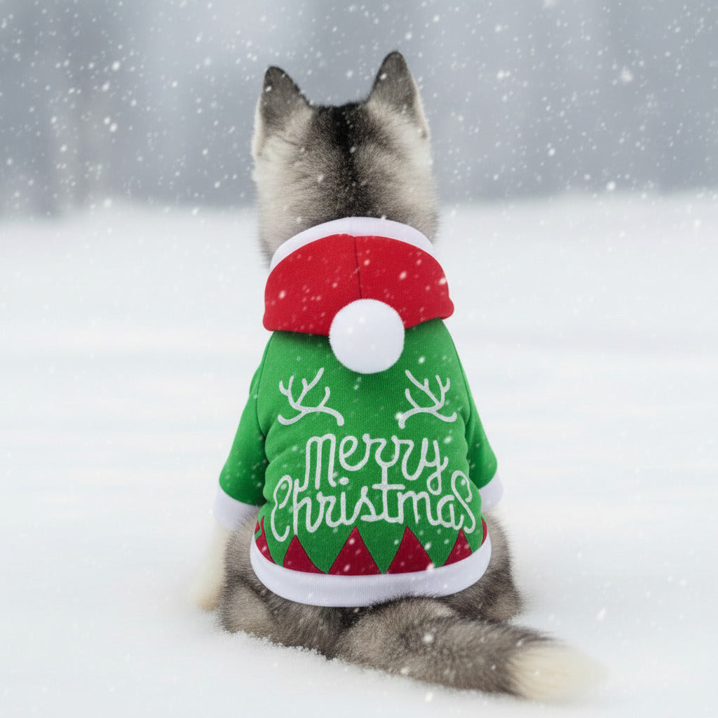 Pet sweater with hood, green knit with red trim and Merry Christmas design, four-leg