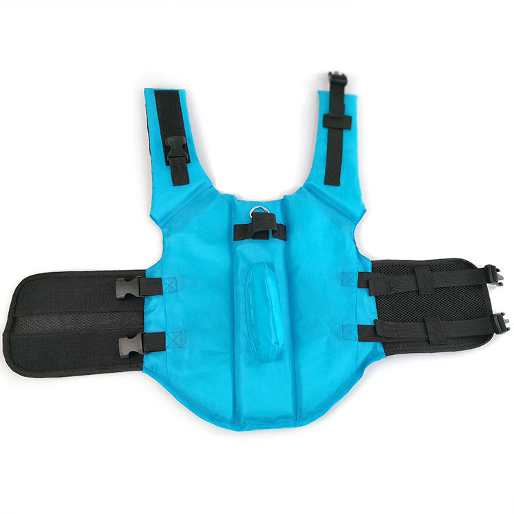 Blue pet dog swimsuit life vest with black straps and dorsal fin