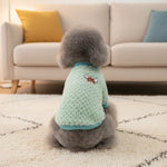 Mint green pet sweater with blue trim and cat face patch, back view