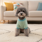 Mint green pet sweater with blue ribbed collar and cat face patch, front view