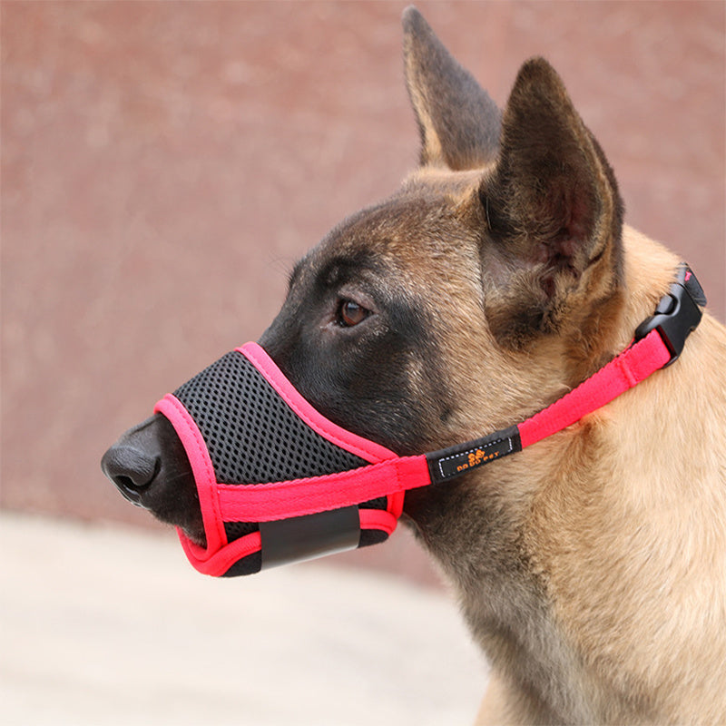 Dog wearing a black mesh pet muzzle with bright pink adjustable straps