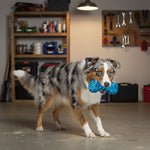 Peacock blue squeaky dog chew bone toy held in a dog’s mouth, textured grip.