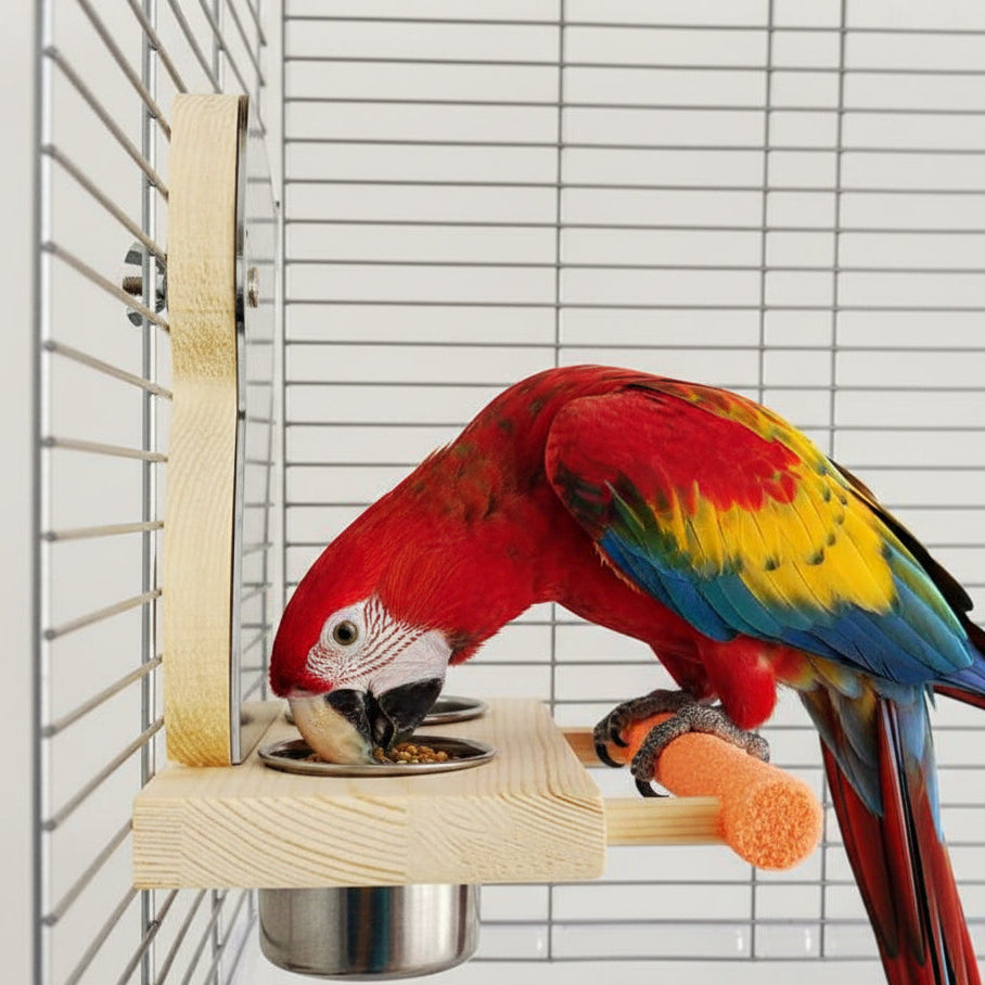 Wooden claw stand with stainless food cup and orange abrasive brush on metal base