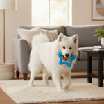 White dog holding a blue star-shaped rubber chew toy with paw-texture nubs.