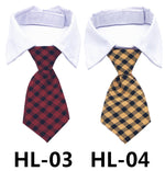 Pet dress-up tie on white shirt collar, burgundy and black plaid pattern
