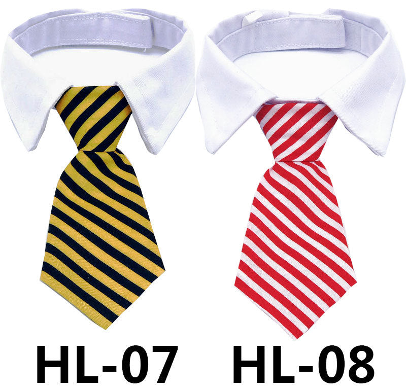 Pet dress-up tie on white shirt collar, teal and black plaid pattern