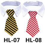 Pet dress-up tie on white shirt collar, teal and black plaid pattern