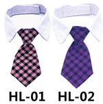 Pet dress-up tie on white shirt collar, purple and black plaid pattern