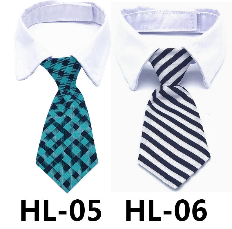 Pet dress-up tie on white shirt collar, tan and navy plaid pattern