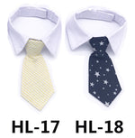 Pet dress-up tie on white shirt collar, red and black striped pattern