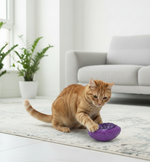 Purple bite-resistant rugby training ball dog toy with ridged texture and diamond top