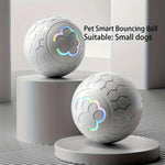 Rechargeable smart bouncing ball in grey, with glowing paw emblem on front