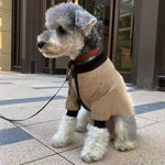 Khaki pet winter jacket hoodie with zipper and dark ribbed cuffs, side view on dog outdoors.