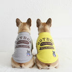 Grey dog hoodie sweatshirt with Hotdog Delicious graphic and chest patch