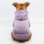 Dog sweater with pocket patch, light purple knit and hood with pouch detail