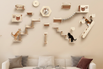 Wall-mounted cat climbing frame set with multiple perches and ramps on wall